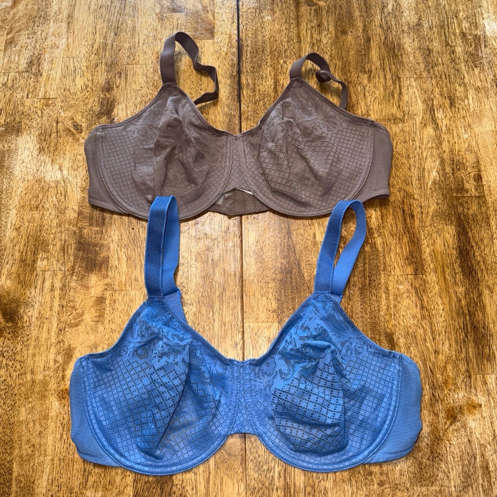 Wacoal Blue and Brown Full Coverage Bras with Underwire Support 40DD